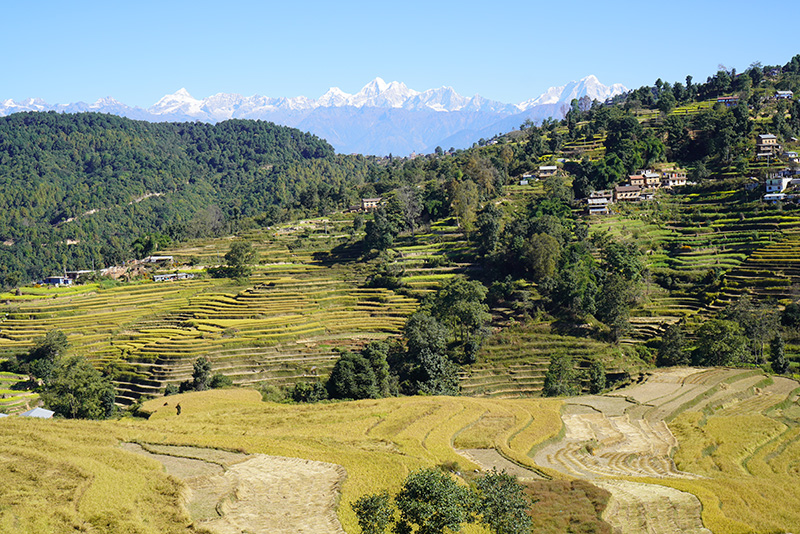 20 Best day hikes in Kathmandu valley