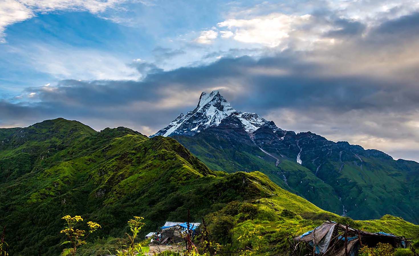 Best Time for Mardi Himal Trek