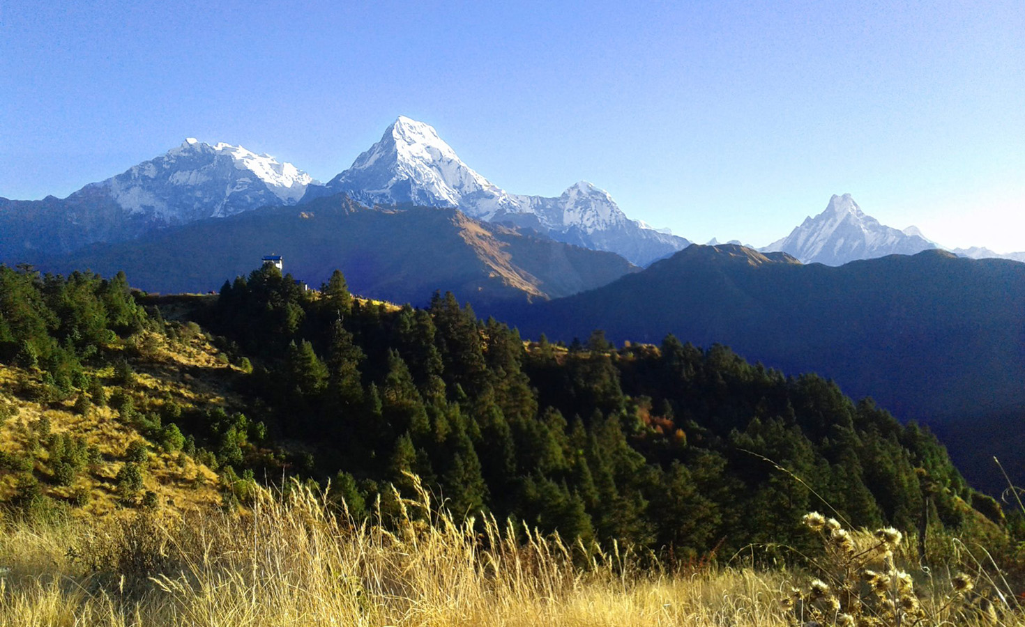 Experience Nepal on a Budget