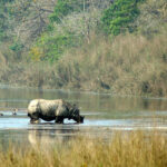 Wildlife Photography Tour in Bardia National Park