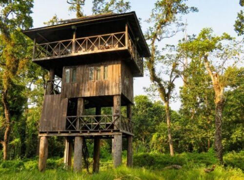 Tree House in Chitwan
