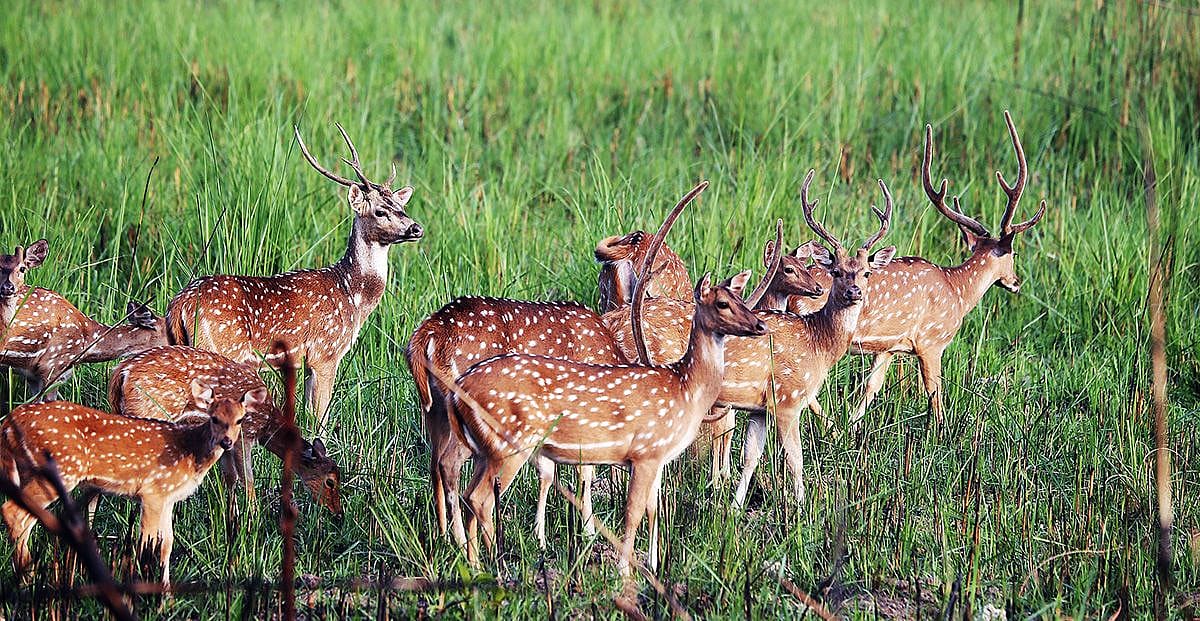 15 Unmissable Adventures in Nepal
