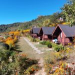 What to See in Nepal Besides Trekking and Mountains