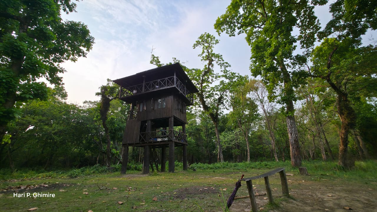 Overnight Stay in a Tree House in Chitwan – A Unique Wildlife Experience