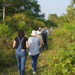 How Safe Is Walking Safari in Bardia National Park?