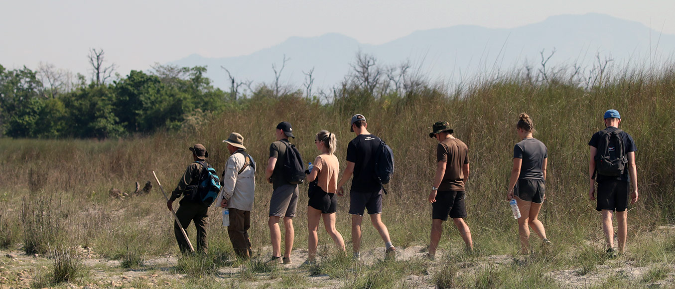 How Safe Is Walking Safari in Bardia National Park?